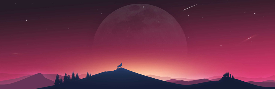 DG Packaging Cover Image